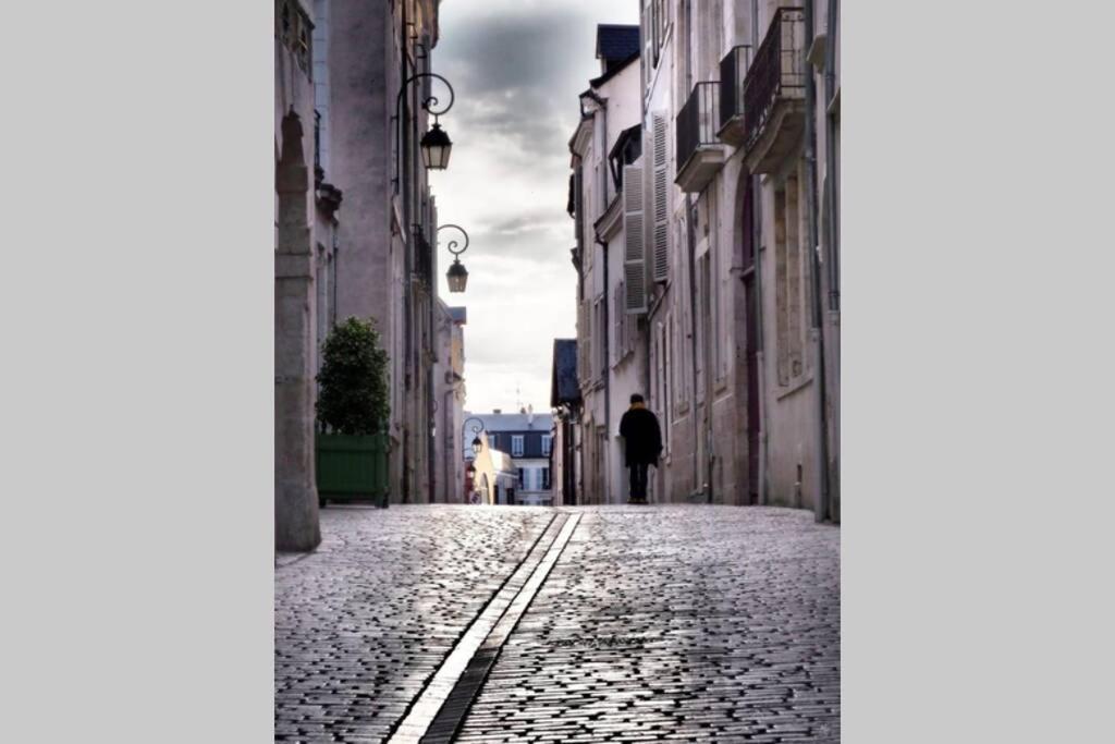 L'Authentique - Le Poirier Daire Orléans Dış mekan fotoğraf